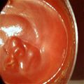いちごてんと's cooksnap of when they made 簡単混ぜるだけピザソース.