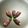 駄目駄目人間's cooksnap of when they made ホタルブクロの花詰め.