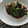 qyulove's cooksnap of when they made 椎茸とピーマンの黒酢炒め.