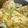 まつもつまつもつ's cooksnap of when they made 名古屋で人気のあの親子丼.