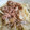 QQQcang's cooksnap of when they made さっぱり！キノコとキャベツの梅和え.