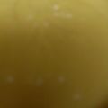 おあじみ's cooksnap of when they made 簡単 カスタードクリーム.