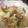 すがまっち's cooksnap of when they made 沖縄豆腐ちゃんぷるー.
