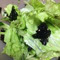☆らりこ☆'s cooksnap of when they made 冷蔵庫にレタスしかなかった…時のサラダ.
