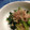 まーきー♪'s cooksnap of when they made 小松菜とえのきのお浸し.