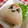 まじゅじゅ's cooksnap of when they made おにぎりの具【紅しょうが】.