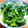 みい833's cooksnap of when they made 簡単☆大根の葉炒め.
