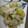 Great3's cooksnap of when they made 白菜の和風サラダ.