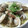 時短料理勉強中's cooksnap of when they made 簡単！アサリの酒蒸しバターにんにく風味.