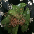 ともっち5959's cooksnap of when they made さやえんどうバター炒め.