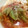 ☆寧々＊'s cooksnap of when they made もやしと鶏挽肉のオムレツ　甘酢あん.