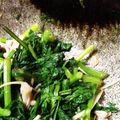 しみずみさと's cooksnap of when they made 春菊のお浸し.