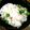インティー100's cooksnap of when they made 豆ご飯.