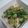 らららラッキー☆'s cooksnap of when they made そら豆とシーフードミックスの塩炒め.
