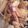 ★☆ひでともママ☆★'s cooksnap of when they made アカイカのアーリオオーリオ.