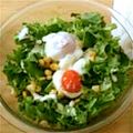 ミルクとチョコ's cooksnap of when they made お手軽材料！ シーザーサラダドレッシング.