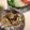 あかりもみじ's cooksnap of when they made いかのホイル焼き.
