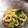 ゆんゆん★☆'s cooksnap of when they made もやしの胡麻和え.