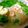 カフェ店員M子's cooksnap of when they made 冷たい☆エスニック風汁そうめん.
