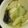 AYATORI's cooksnap of when they made 白身魚のおろし煮.