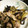 いるかくゆら's cooksnap of when they made 豚肉とナスの梅しょう油炒め.