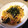 スモールビル's cooksnap of when they made なすと小エビとちくわの和風スパゲティ.