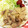 ∞もゆ∞'s cooksnap of when they made 豚コマのしょうが焼き.