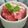 きこたん♪'s cooksnap of when they made ミキサーで簡単♡いちごシャーベット!!.