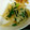 やま22's cooksnap of when they made 塩もみ大根とニラの炒め物.