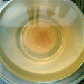 まゆげなさげ's cooksnap of when they made 簡単！昆布と鰹の出汁の取り方.