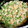 ぽぴぽぴ's cooksnap of when they made えんどう豆の卵とじ.