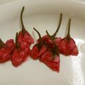 Tusentakk's cooksnap of when they made 桜の花の塩漬け.