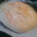 shifon♪'s cooksnap of when they made ✢しっとり濃厚♡ビターチョコハース✢.