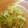 ぽにょママnako's cooksnap of when they made 鍋不要☆えのきと水菜の中華サラダ.