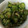 Ryo5Tak's cooksnap of when they made 簡単‼きゅうりとみょうがのさっぱり和え.