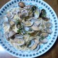 バウンド's cooksnap of when they made あさりの酒蒸しでボンゴレ風？簡単パスタ.