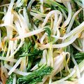 バネ秤's cooksnap of when they made もやしと水菜のナムルもどき.