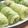 ＯＳＯＮＯ's cooksnap of when they made 楊枝入らずロールキャベツ.
