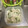 ニッシーマン's cooksnap of when they made こごみと新玉のマヨサラダ♪.
