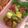 ハワイアンロコガール's cooksnap of when they made アボガドとトマトのイタリアンサラダ.