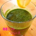 はるぽんゆうぽん's cooksnap of when they made レモンミントジュース.