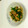 とこし♪'s cooksnap of when they made 豚肉とピーマンのオイスターソース炒め.