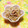 shiizuu's cooksnap of when they made 和えるだけ～！もやしとツナの簡単サラダ＊.