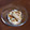 ペーシェ's cooksnap of when they made *めちゃうまっ♡きなこ黒みつアイス*.