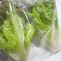kaiko子's cooksnap of when they made ★レタスの保存★.