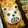 赤い電話's cooksnap of when they made 幼稚園弁当！ﾜﾝﾋﾟｰｽ！ﾍﾞﾎﾟ★.