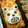 赤い電話's cooksnap of when they made 幼稚園弁当！ﾜﾝﾋﾟｰｽ！ﾍﾞﾎﾟ★.