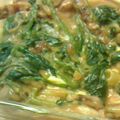 ぽにぽに雪だるま☃'s cooksnap of when they made ツナとほうれん草のトマトクリームパスタ♪.