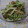 sumityon830's cooksnap of when they made きゅうりとザーサイの☆和え物.