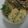 tamago大好き's cooksnap of when they made うどん入り玉子焼き.